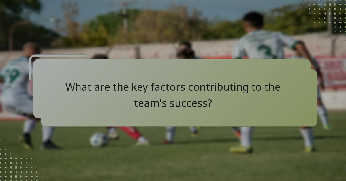 What are the key factors contributing to the team's success?